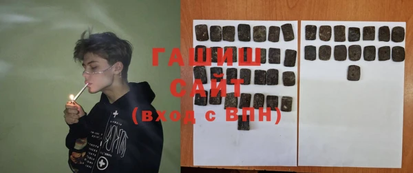 СК Алексин