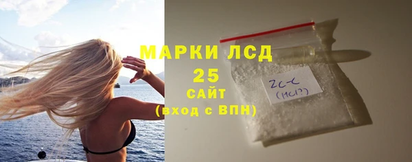 СК Алексин