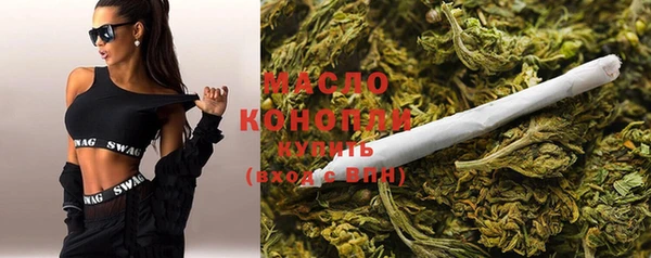 СК Алексин