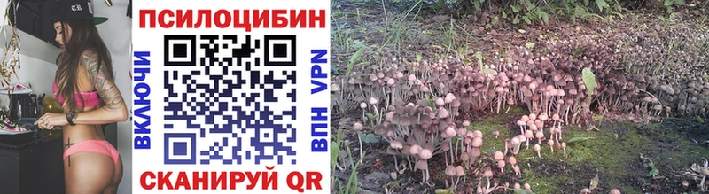 Псилоцибиновые грибы мухоморы  где купить наркоту  Томмот 